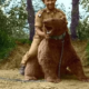 Wojtek, l’orso soldato che arrivò a Forlì 3