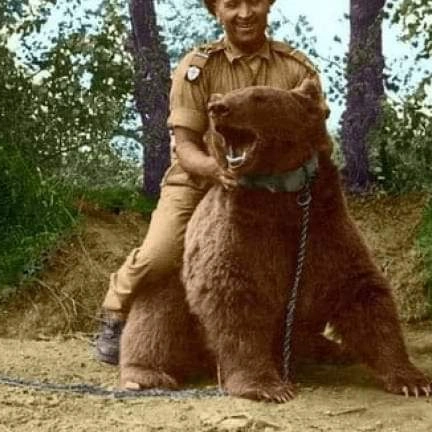 Wojtek, l’orso soldato che arrivò a Forlì 3